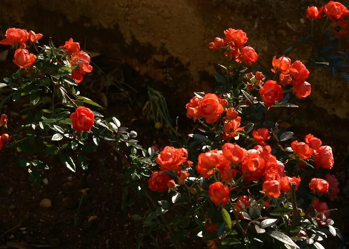 Apartman With Parking Space Biograd Na Moru, Biograd - 4303